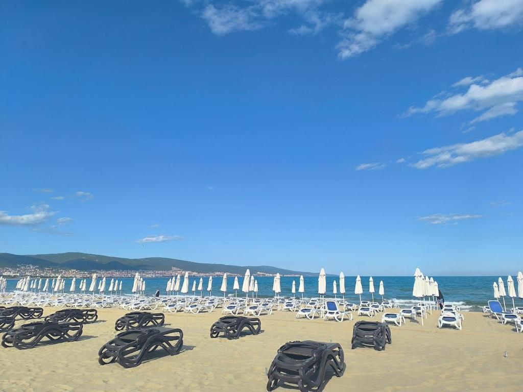 Апартаментс с одной спальней в комплексе Hermes, Солнечный берег — изображение 6