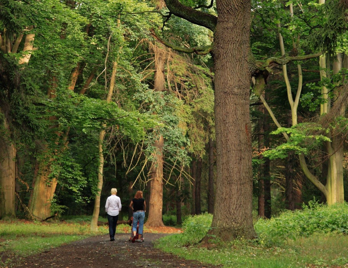 НОВОЕ СТРОИТЕЛЬСТВО Апартаменты в комплексе Forest Apartments 2 , Варна — изображение 10