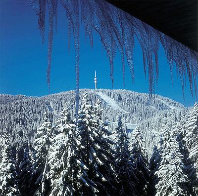 НОВОЕ СТРОИТЕЛЬСТВО Новые апартаменты под ключ, в 6 км от горнолыжного курорта Пампорово — изображение 12