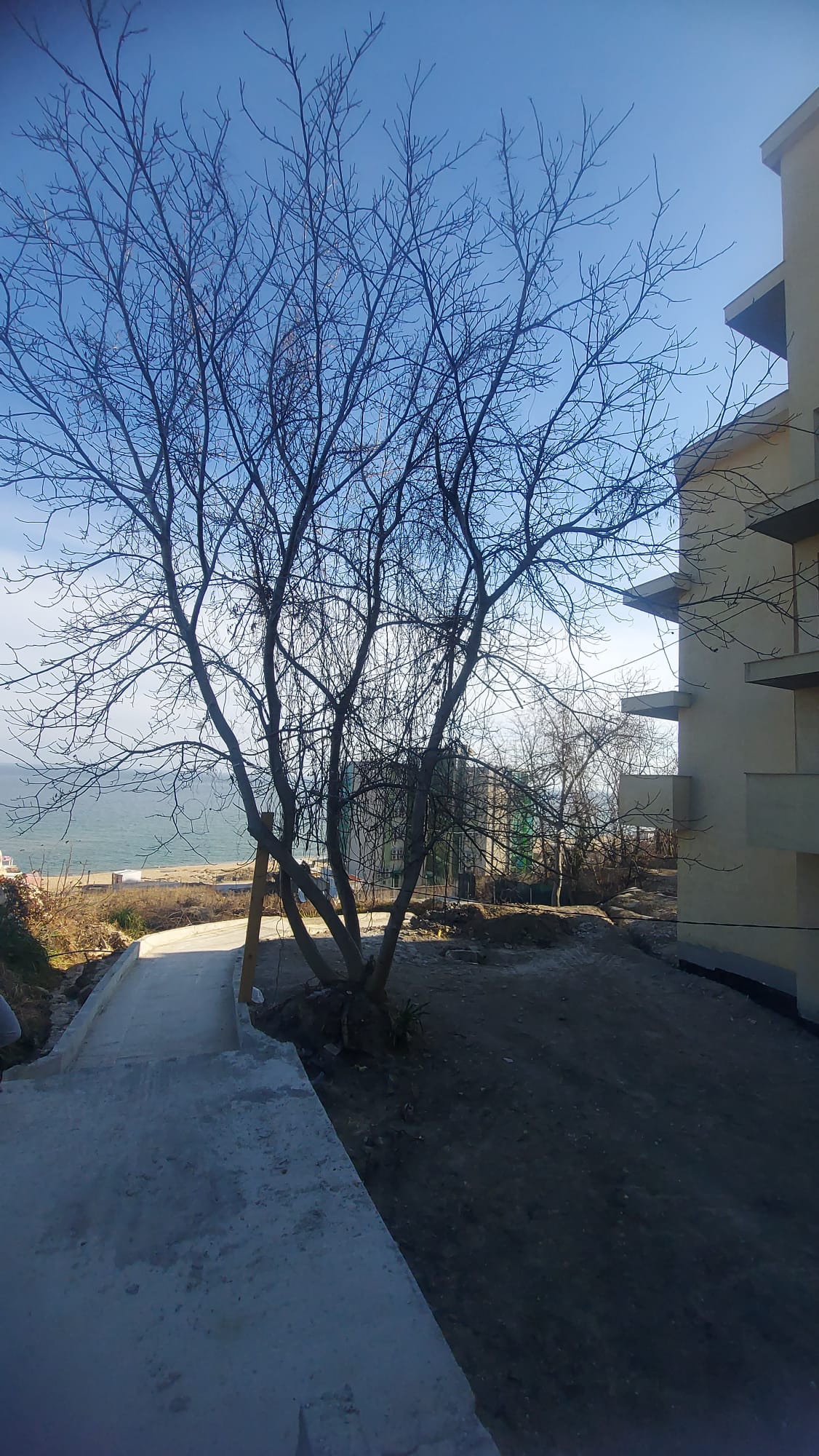 НОВОЕ СТРОИТЕЛЬСТВО KABACUM COLLECTION КОМПЛЕКС КУБ на КАБАКУМ — изображение 12