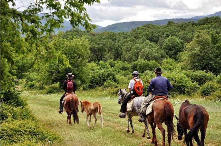 НОВОЕ СТРОИТЕЛЬСТВО Новые апартаменты под ключ, в 6 км от горнолыжного курорта Пампорово — изображение 11