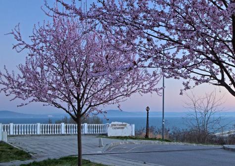 НОВОЕ СТРОИТЕЛЬСТВО ЖИЛОЙ ДОМ " SKARABEY PUZZLE" Сарафово — изображение 12