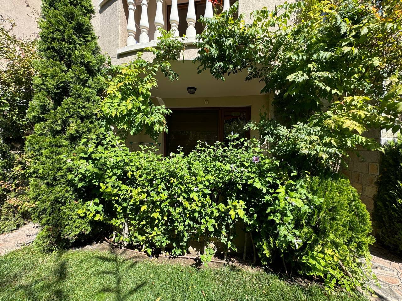 Студия в ЖК Sunny Day 6 Солнечный Берег — изображение 4