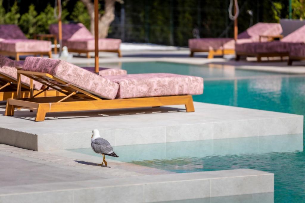 НОВИНКА Апартамент с двумя спальнями в ЖК J'adore Secret Gardens, Солнечный Берег — изображение 5